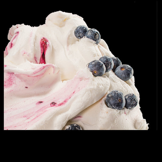 Skyr Heidelbeere (9l)