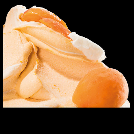 Aprikose Skyr (9l)