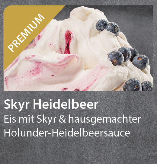 Skyr Heidelbeere Eis (9l)