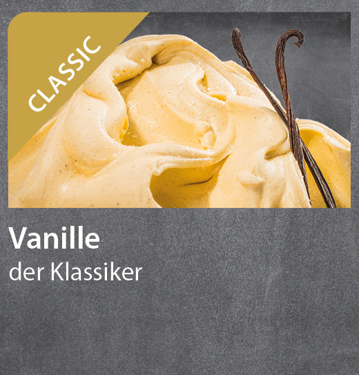 Vanille Eis (5l Berg)