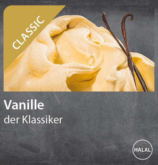 Vanille Eis (5l Berg)