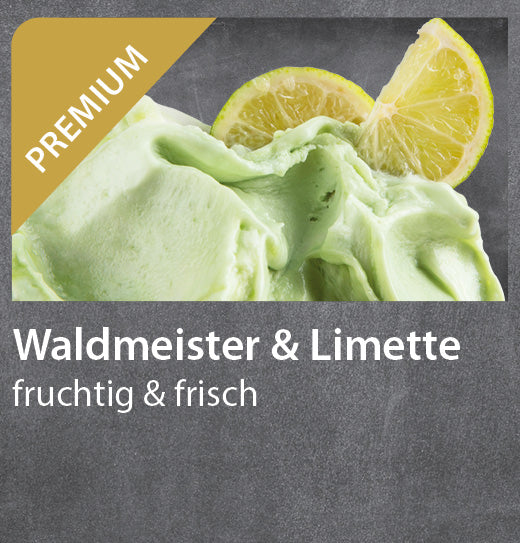 Waldmeister Limette Eis (Berg 9l)